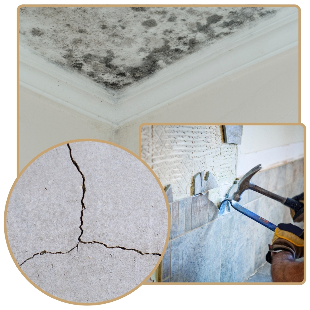 Expert bâtiment rénovation maison La Rochelle