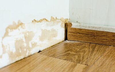 Condensation, remontées capillaires, infiltrations : comment faire la différence ?