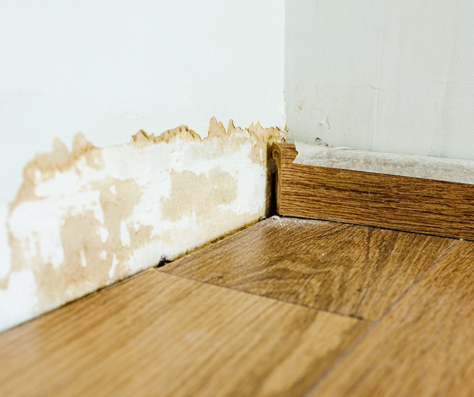 Expert bâtiment humidité infiltration Poitiers