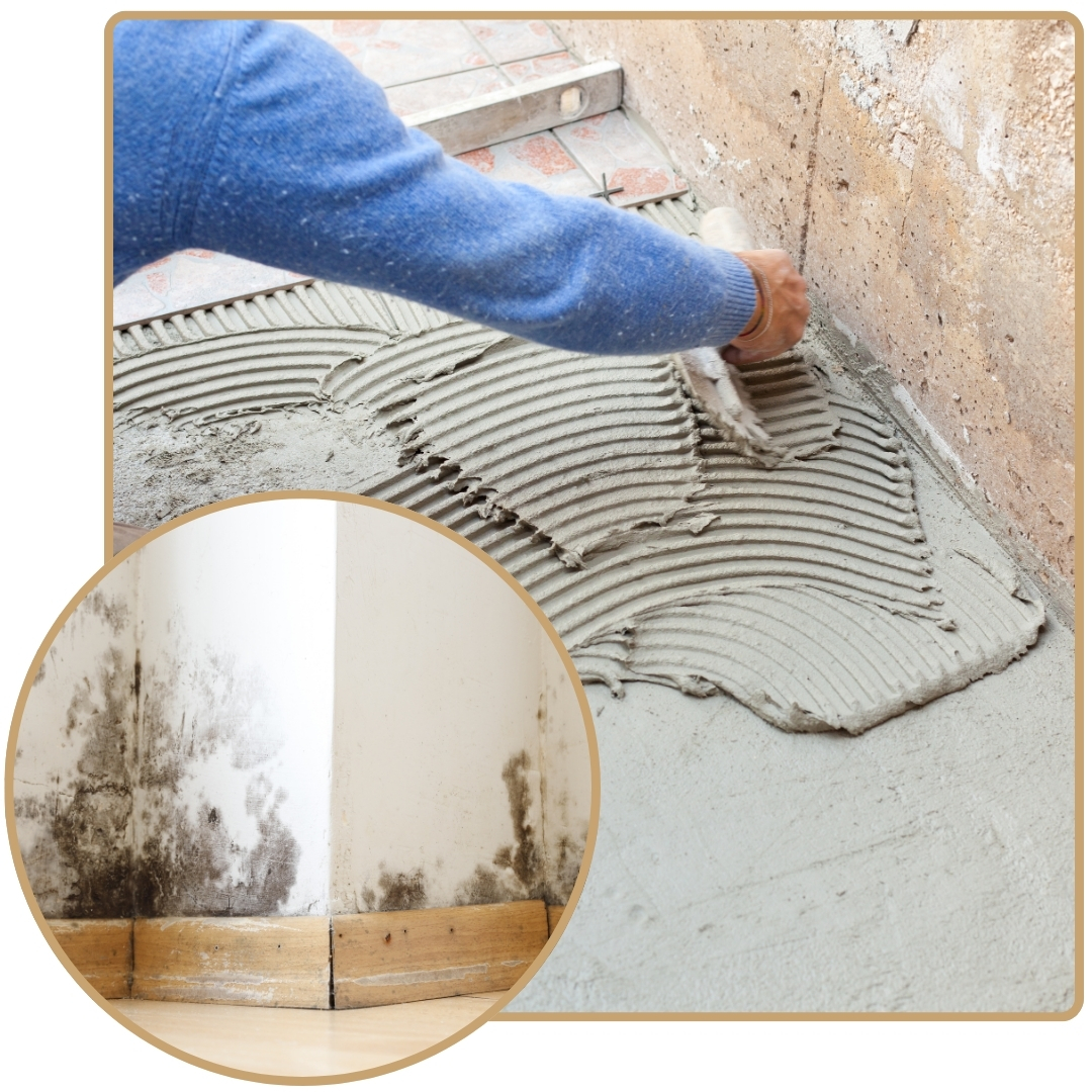 contrôle fissure expert bâtiment Niort