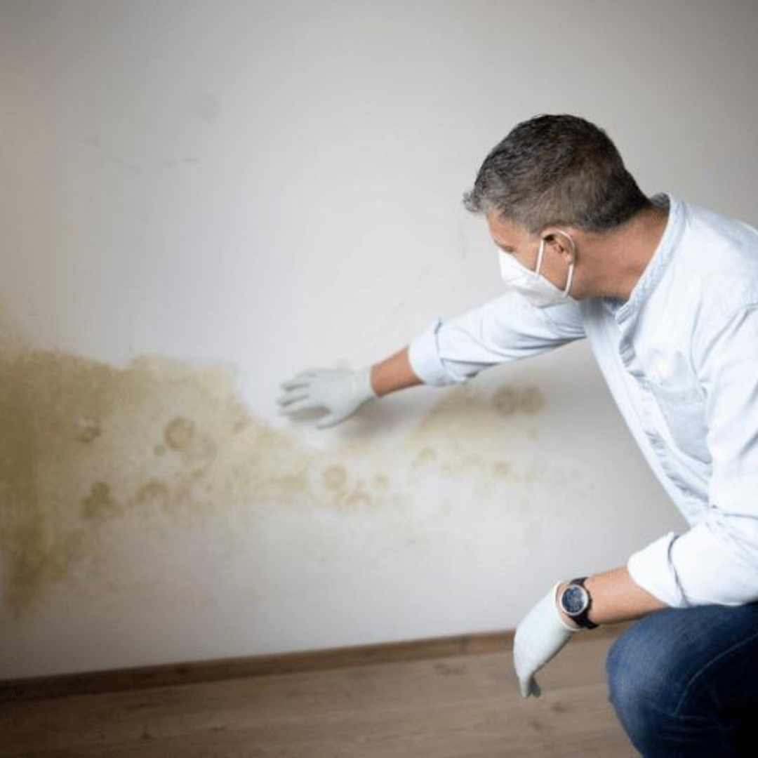 Expert bâtiment expert litiges Saintes