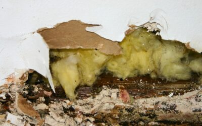 Murs humides : condensation, infiltrations ou remontées capillaires ?