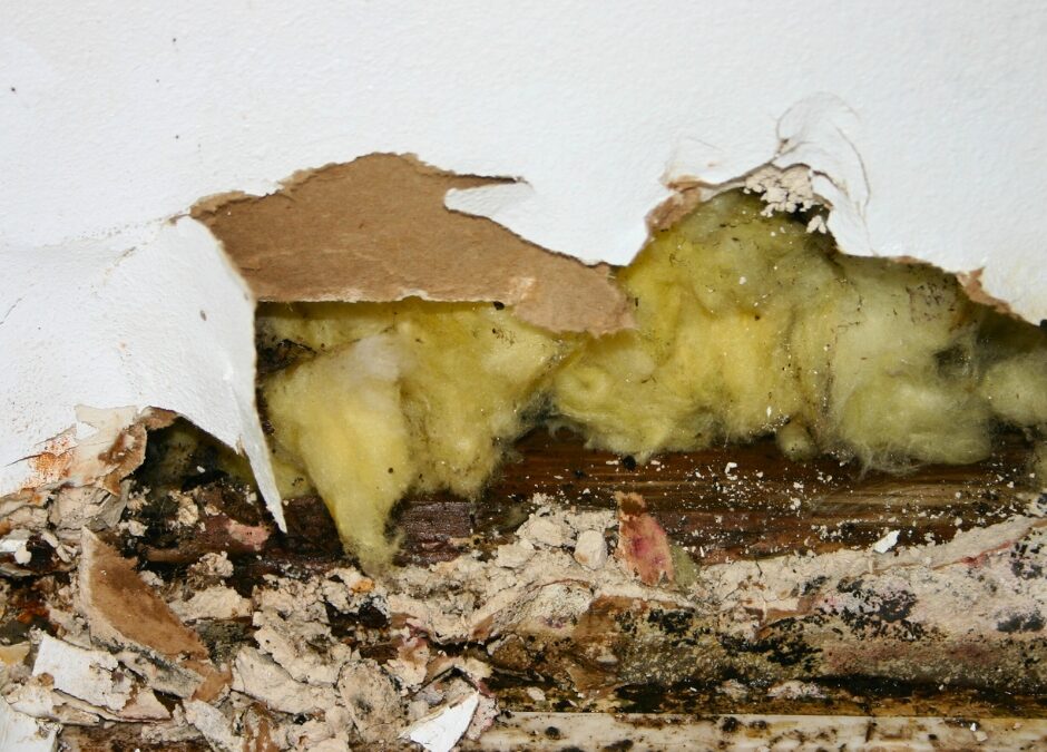 Inondation humidité expert bâtiment Saintes