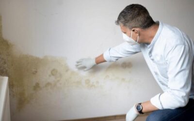 Humidité dans une maison : comprendre les causes