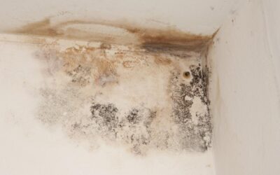 Humidité, infiltration ou condensation : comment faire la différence ?